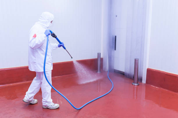 Best Playground Equipment Cleaning  in Marlton, NJ